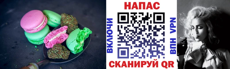 Cannafood конопля  blacksprut ссылка  Светлогорск 