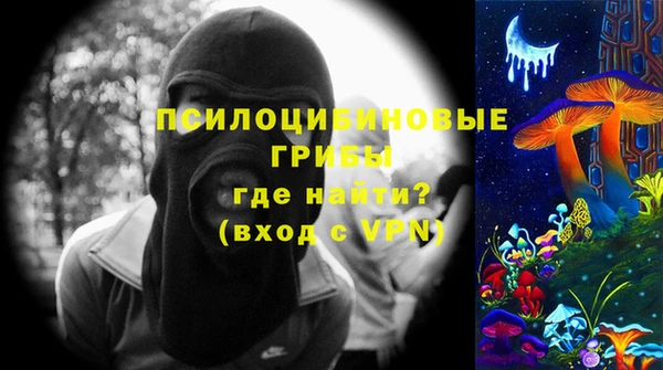 ECSTASY Няндома