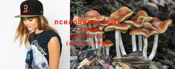 метадон Нягань